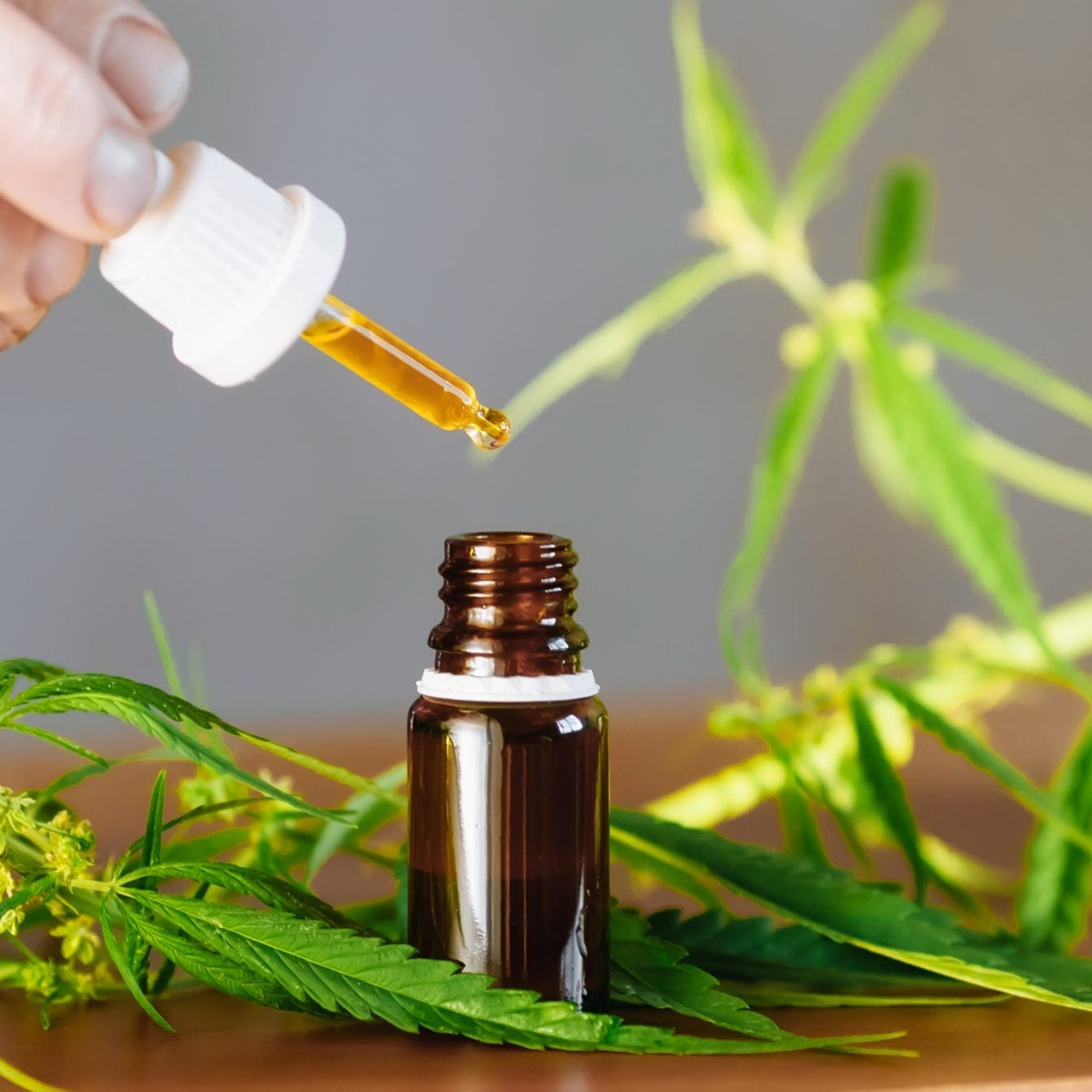 Health & Wellness Products